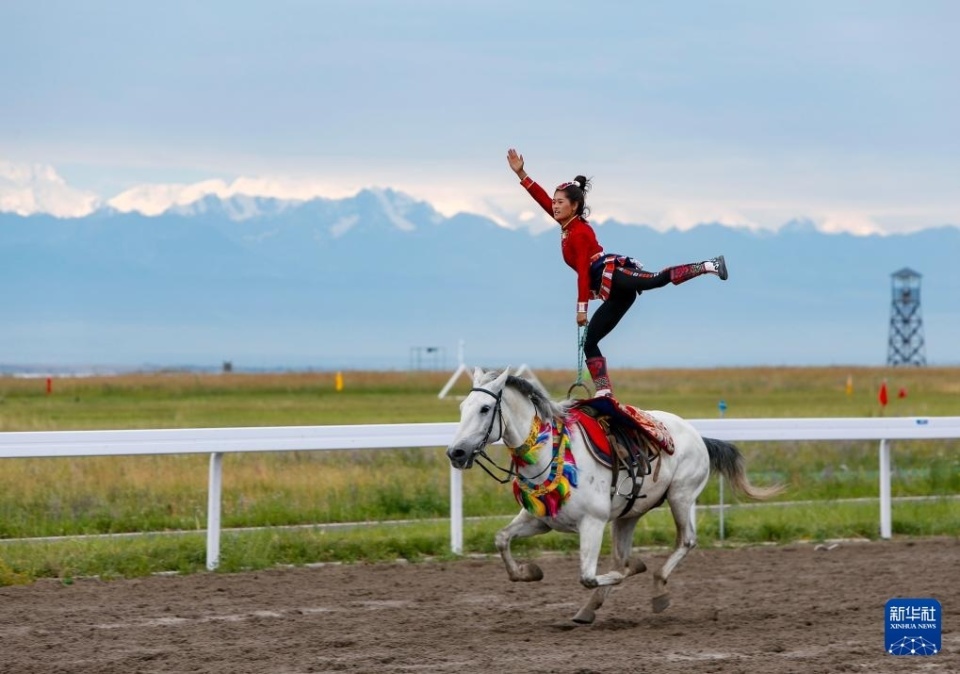 新一轮常规 新一轮常规
