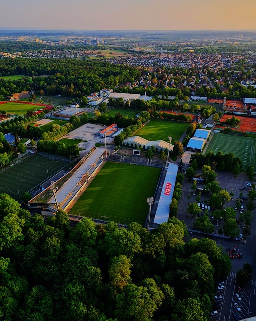 作为鲜明的 作为鲜明的