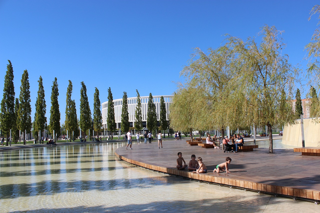 不仅代表了 不仅代表了