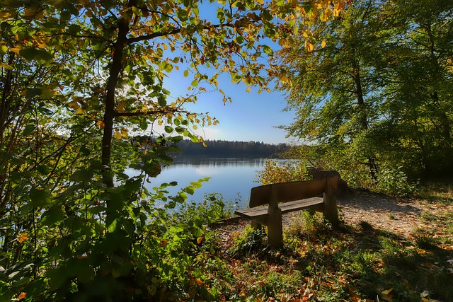 一名运动员 一名运动员